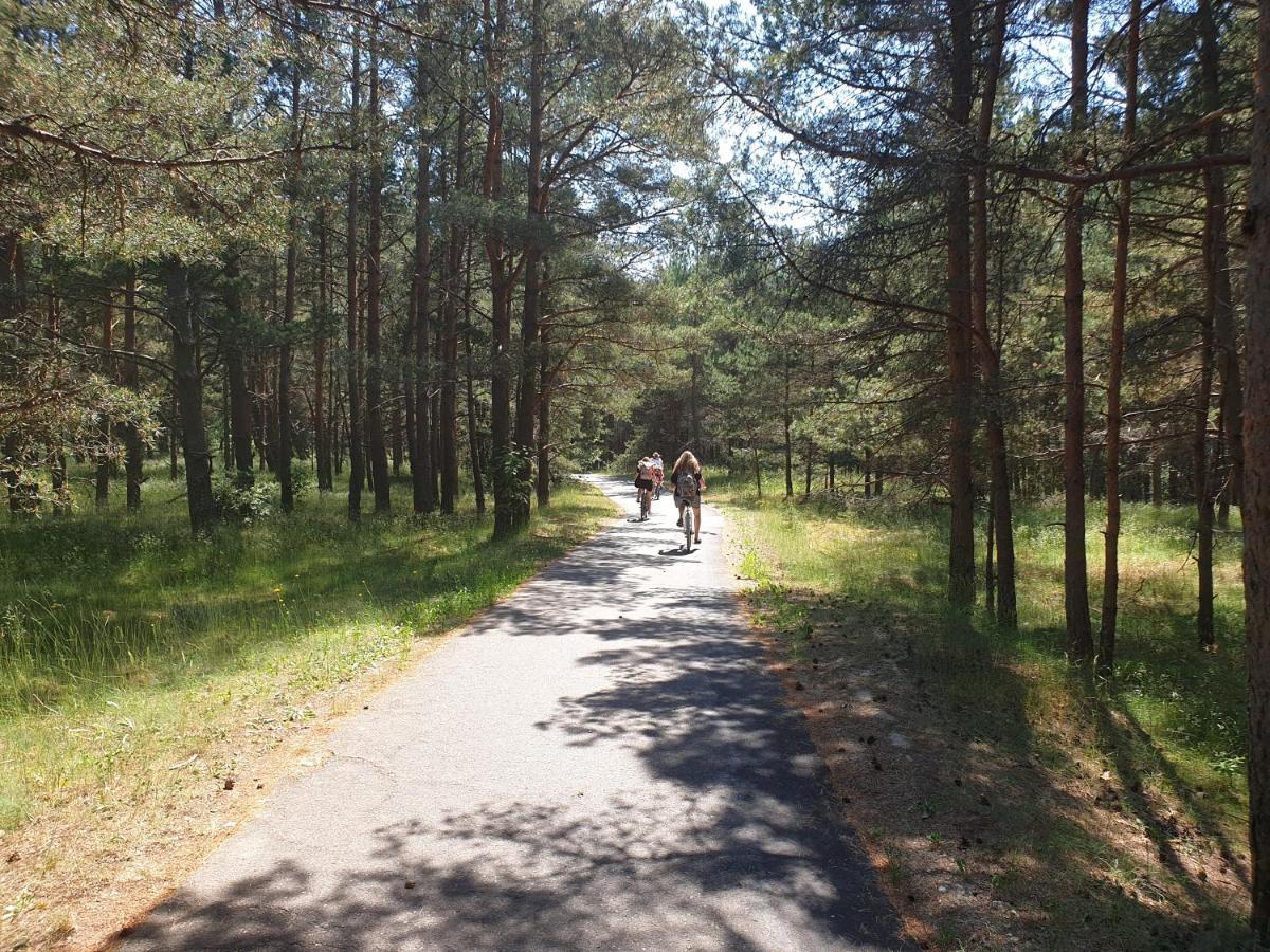 Nemirsetos Kopos * Palanga
