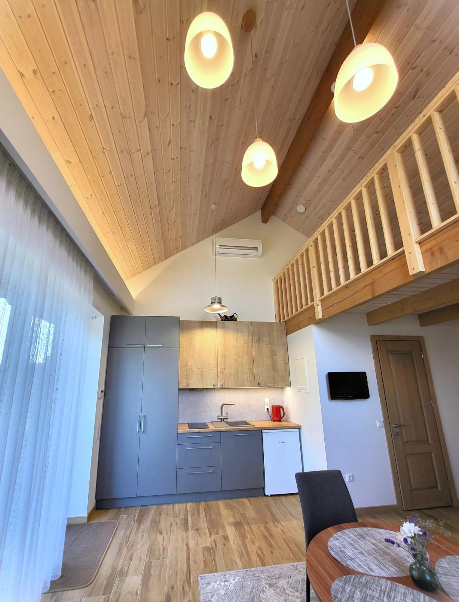 Apartment Nemirsetos Kopos *